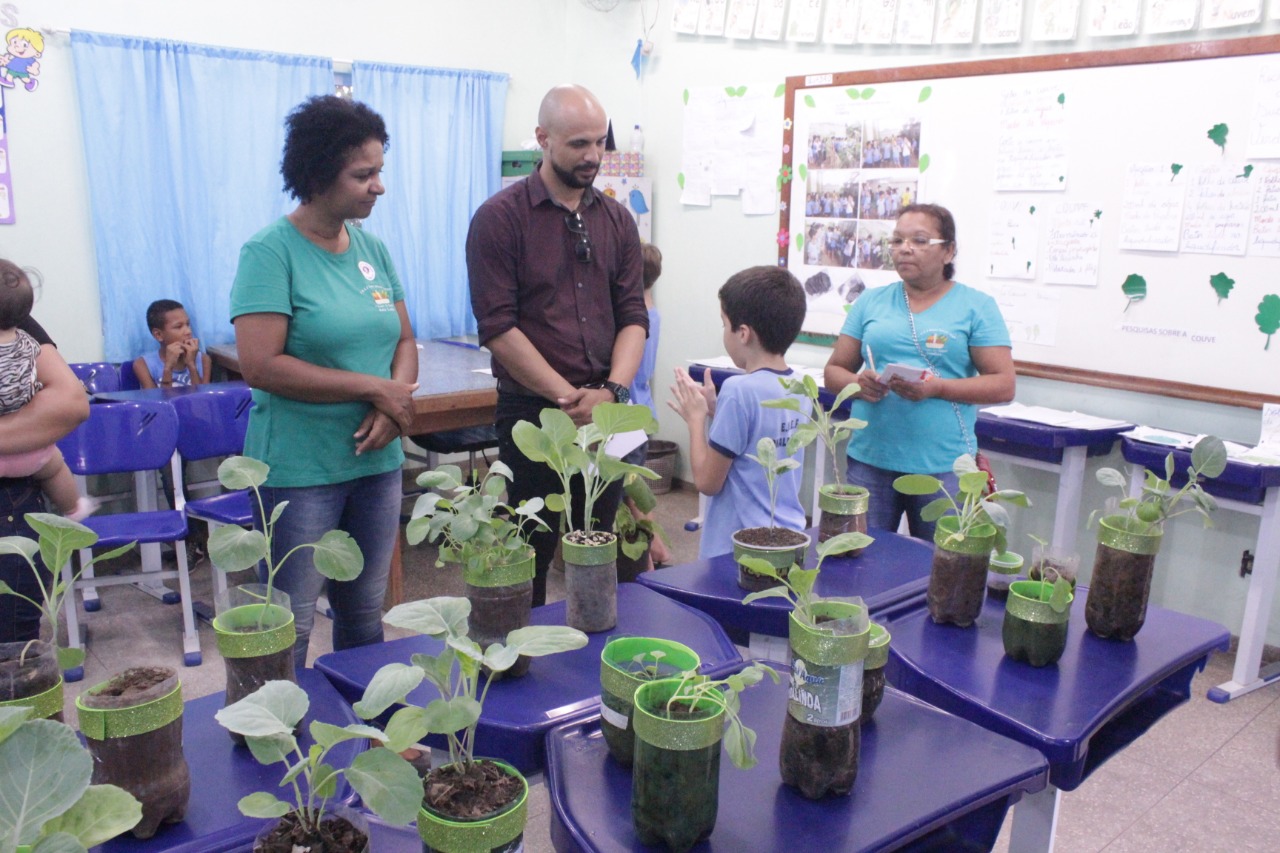 HORTA ORGÂNICA ESCOLAR - 02