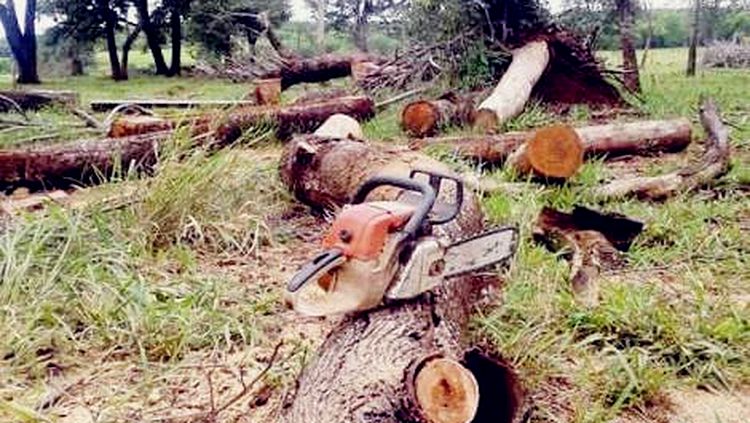 WhatsApp_Image_2018-08-29_at_10.22.59
