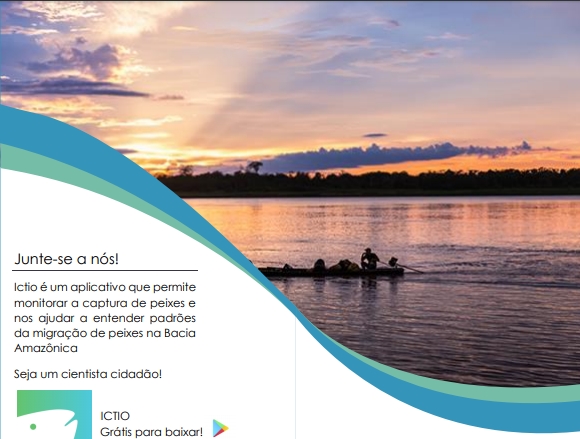 consciencia_cidada