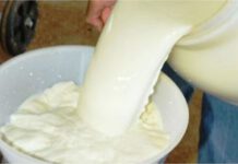 Rondônia paga o menor valor do litro do leite entre os 10 estados produtores no país, aponta Conab