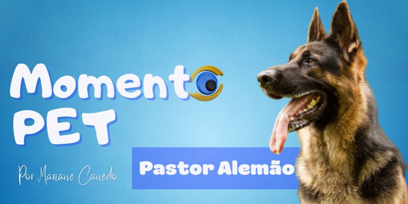 Diario Popular / Geral / Um dia para apreciar o pastor alemão