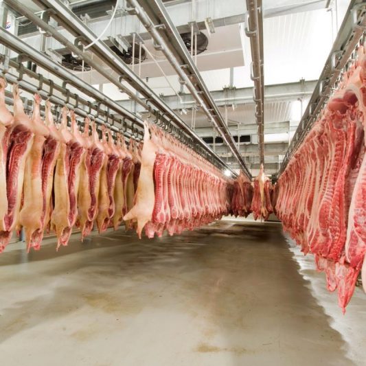 carne suína