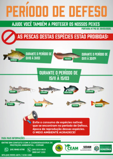 BANNER-PERIODO-DE-DEFESO-SEDAM-2020-1-370x519