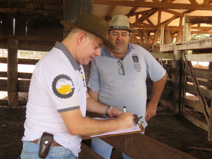 Levantamento de informações com produtor durante Rally da Pecuária