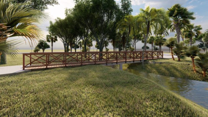 Projeto-Parque-do-Buriti_10-de-abril_Seringueiras_Stefany-Barros_04