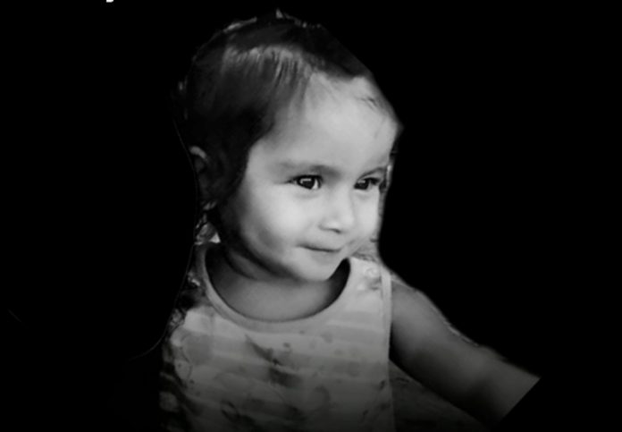 Captura de tela 2023-08-12 101501