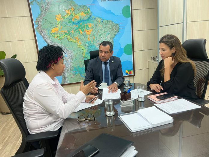 Deputada Silvia Cristina audiencias em Brasilia (2)