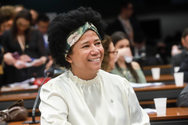 Deputada Silvia Cristina faz balanço positivo (4)