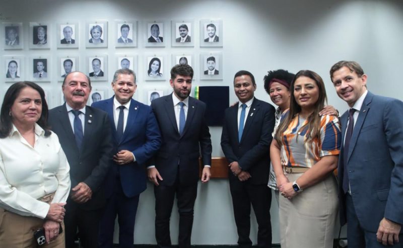 Comissão de Saúde da Câmara dos Deputados - Foto Bruno Spada-Câmara dos Deputados