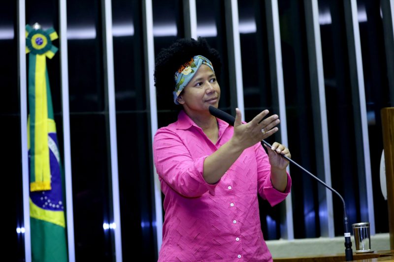 Deputada Silvia Cristina plenário CPMI