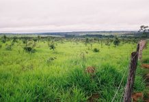 Em disputa por décadas, fazenda de quase 6 mil hectares em Vilhena, volta ao patrimônio da União