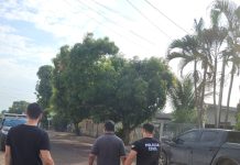 Denúncia anônima leva à prisão de padrasto por estupro de vulnerável em Vilhena