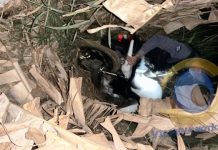 Moto da Coca-Cola furtada em Vilhena é encontrada pela Polícia Militar em Juína (MT)