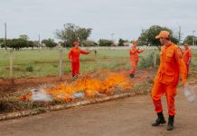 Prefeitura de Vilhena divulga lista de inscritos no Seletivo de Brigadista