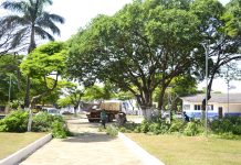 Prefeitura de Vilhena inicia preparação da Praça Nossa Senhora Aparecida para receber a decoração natalina