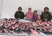Mais de 200 kg de pescado irregular é apreendido e doado ao Hospital do Amor na capital