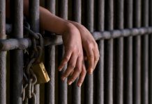 MPRO reverte decisão judicial e comparsa de feminicídio volta a ser preso