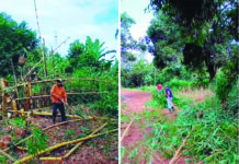 Assista: falta de manutenção obriga produtores a limpar rede elétrica por conta própria