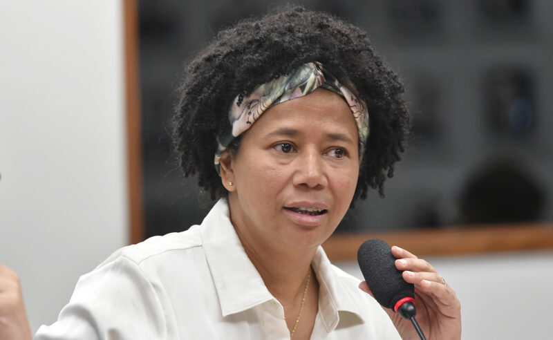 Deputada Silvia Cristina audiência pública - Zeca Ribeiro Câmara dos Deputados