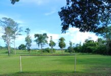 Faltando uma rodada para o fechamento da primeira fase, três equipes estão classificadas para a semifinal do Ruralzão 2025