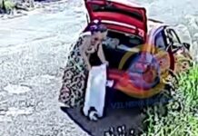 Assista: gato é abandonado no bairro 5º BEC após ser retirado de porta-malas