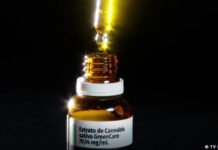 Anvisa aprova cultivo de cannabis por empresas e amplia acesso