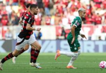 Levantamento revela campeonatos que lideram bets em esportes