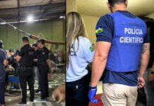 RO: aplicativos eram usados para vender material de abuso infantil, revela investigação