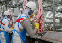 Vilhena tem 37 vagas abertas e Rondônia soma mais de 2,3 mil oportunidades de emprego nesta semana