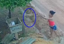 Assista: em RO, mulher é flagrada jogando animais no lixo como se fossem descartáveis