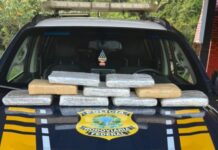 PRF apreende quase 10 kg de maconha em táxi durante fiscalização na BR-364 em Porto Velho