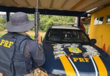 PRF apreende 14 armas de fogo durante fiscalização na BR-364 em Rondônia