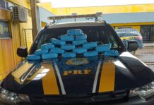 PRF em Rondônia apreende mais de 20 KG de entorpecentes em Ji-Paraná