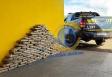 PRF apreende quase 168 kg de skunk durante fiscalização na BR-174 em Vilhena