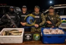 Operação conjunta flagra excesso de pescado e suspeita de comercialização irregular em Vilhena