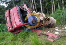 Caminhão carregado com madeira tomba na BR-435 e fica fora da pista entre Vilhena e Colorado do Oeste