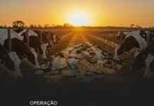 Polícia Civil integra operação Ganatum no combate à sonegação fiscal no setor pecuário