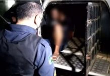 PM registra duas prisões por furtos em comércios de Vilhena no mesmo dia