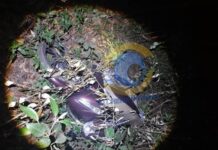 PM recupera motonetas, celular e apreende objetos em ocorrências distintas em Vilhena