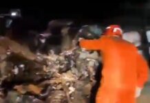 Empresário vilhenense perde a vida após colisão entre caminhonete e caminhão no MT