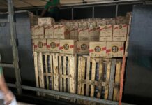 Fiscalização tributária apreende carga irregular de bebidas escondida em caminhão com cimento em Vilhena