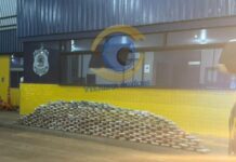 PRF prende dupla de Santa Catarina com mais de 275 kg de drogas e arma após perseguição na BR-364, em Vilhena