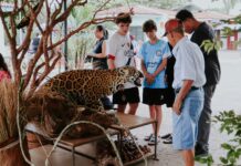 Abertura da Semana do Meio Ambiente em Vilhena destacará desafios entre agro e preservação