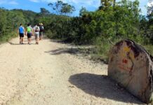 Menina de 8 anos é atacada por onça-parda durante trilha na Chapada dos Veadeiros
