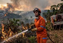 Inscrições para 270 vagas de brigadistas temporários no CBMRO terminam hoje (30/06)