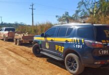 PRF apreende quase 2,5 toneladas de cassiterita transportadas irregularmente em Rondônia