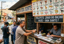 Jogo do Bicho: Entenda como funciona a tradição cultural e as tendências de sorteios no Brasil