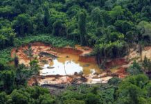 Justiça aceita denúncia do MPF contra líder de garimpo ilegal de diamantes na Terra Indígena Roosevelt, em Rondônia