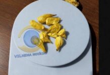 Cerejeiras: adolescente é apreendido com porções de cocaína durante abordagem policial