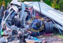 Paraná em luto: acidente entre micro-ônibus e carreta deixa 23 mortos